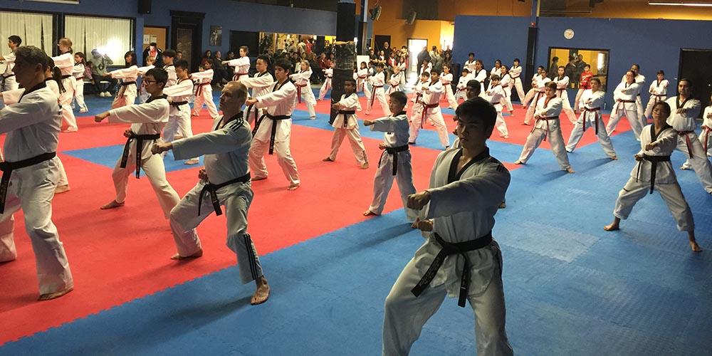 Adult Taekwondo Practice