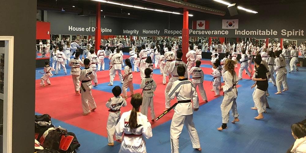 A large, disciplined of students practicing taekwondo for kids and learning core martial arts values.